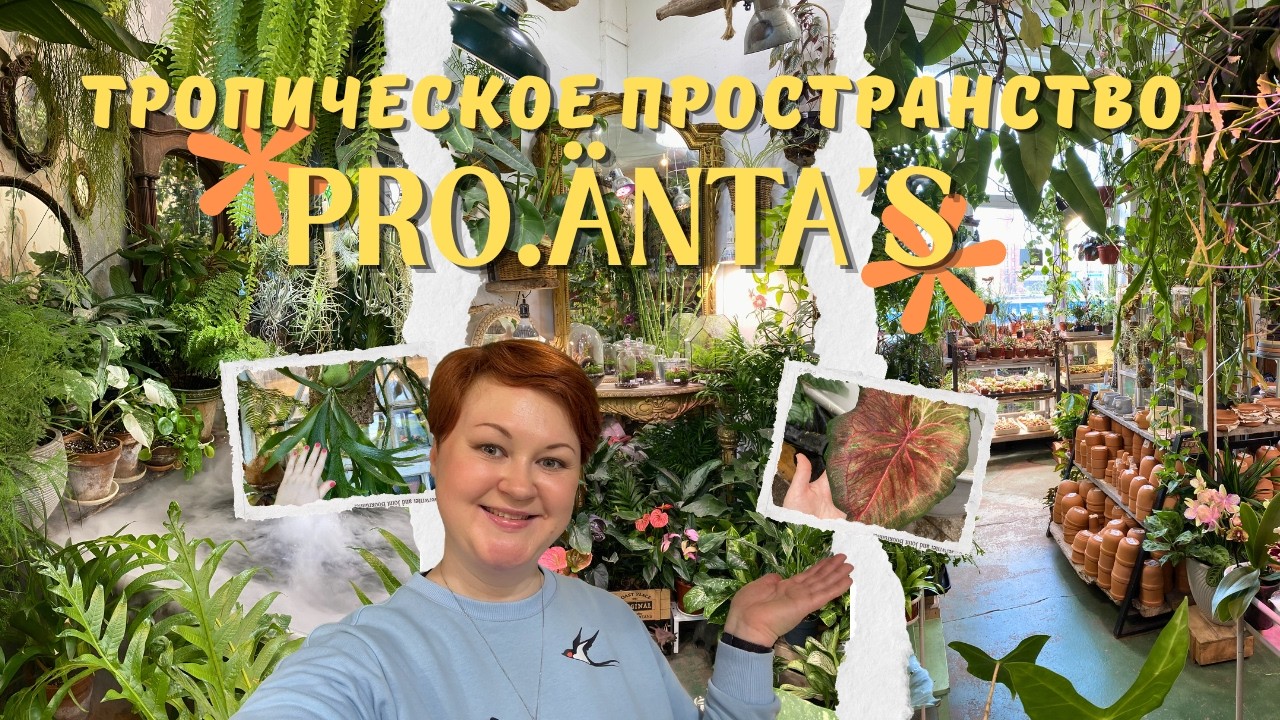 PRO.&Auml;nta's / ОБЗОР тропического пространства / шоу-рум РАСТЕНИЙ