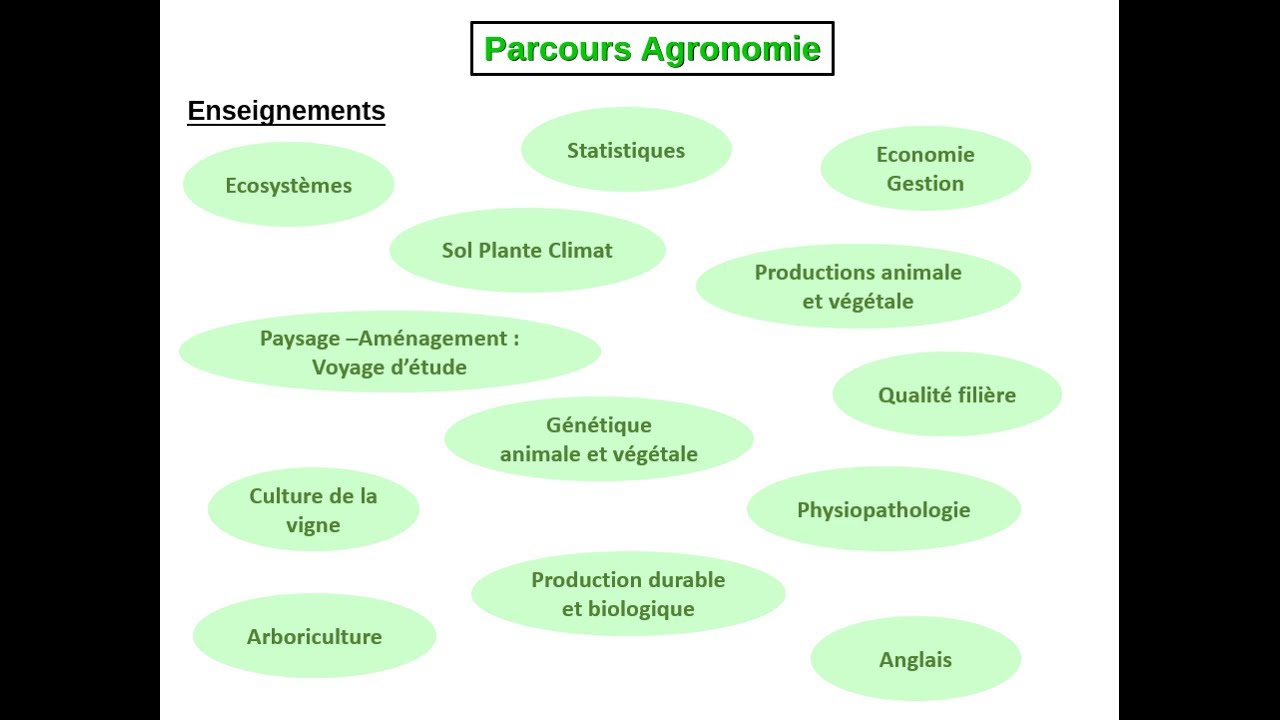 BUT G&eacute;nie biologique - Agronomie (GB-A) de l'IUT de Bordeaux - site de P&eacute;rigueux