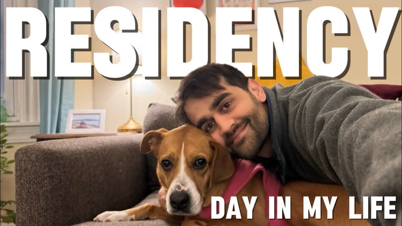 Как пережить ординатуру в Бостоне: сильная зимняя буря и выходной с моей собакой.