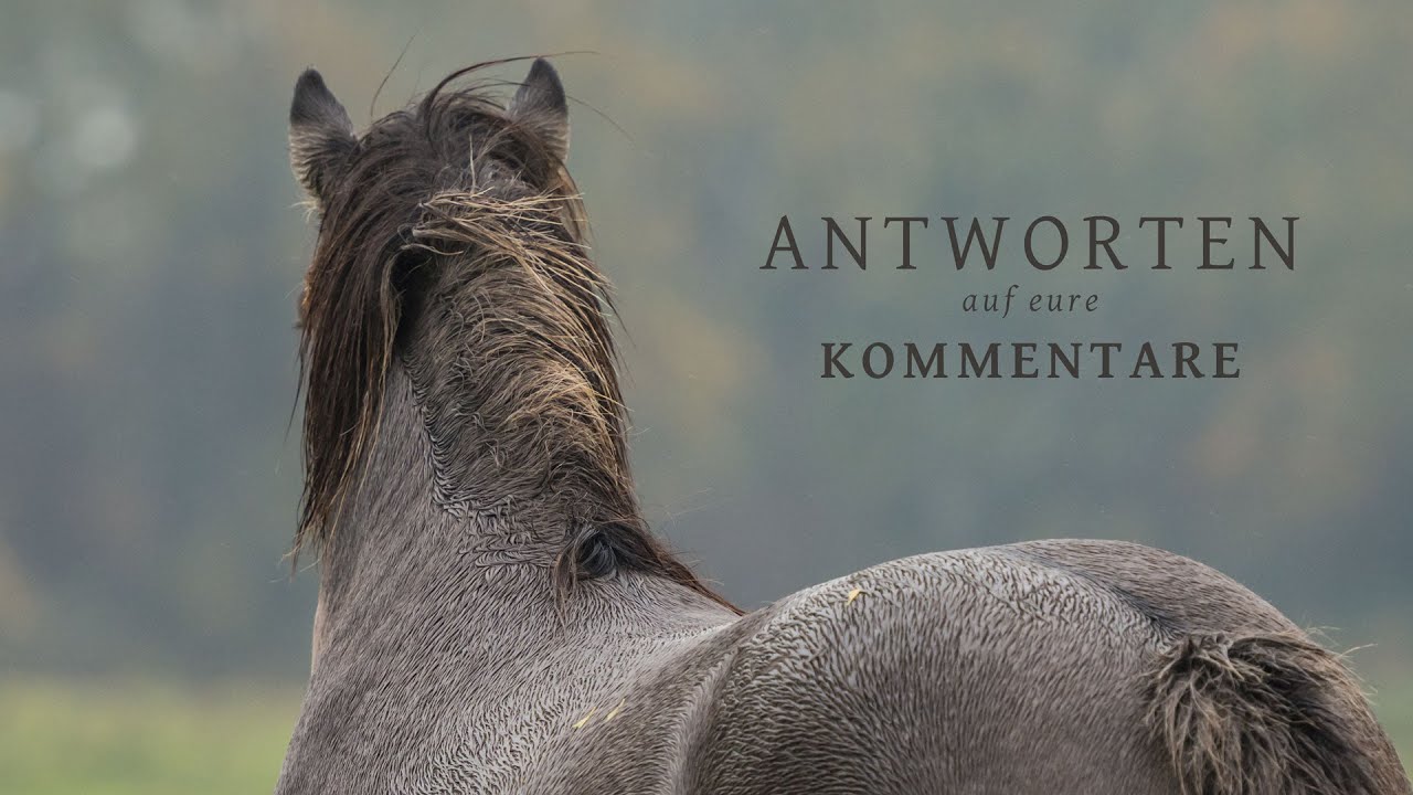 Antworten auf eure Kommentare