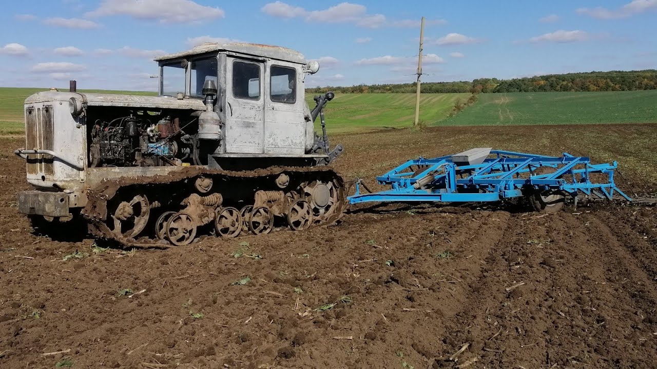 ХТЗ Т-74 на культивації з КПС-4 під посів озимини #т74 #культивація