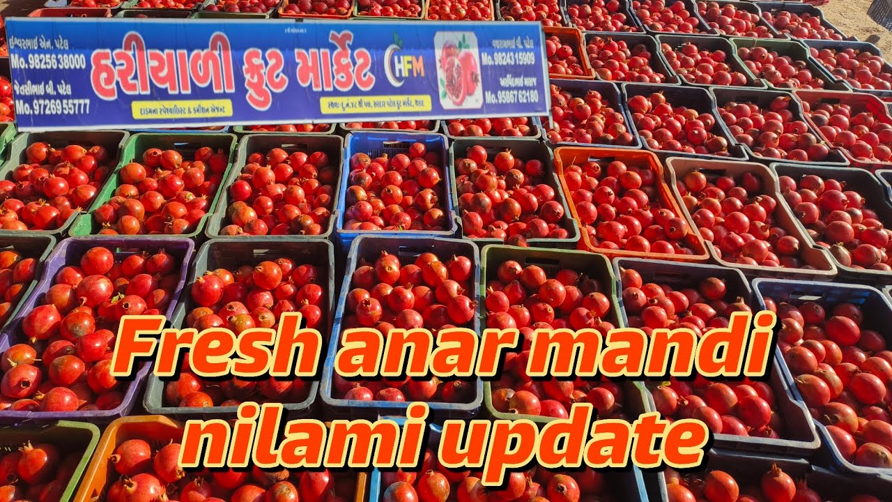 Live mandi nilami with rates and bids ||Recent anar mandi nilami video #pomegranate #viralvideo 