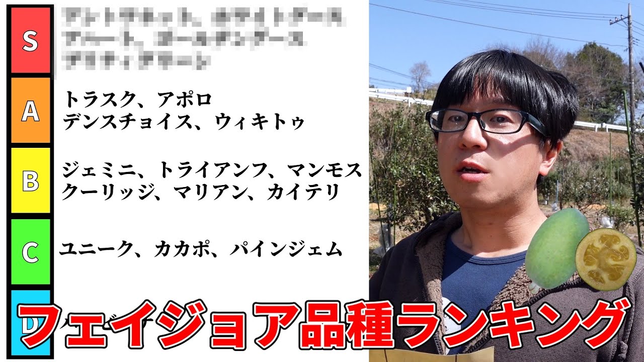 【最新版】フェイジョア品種ランキング2025【feijoa】