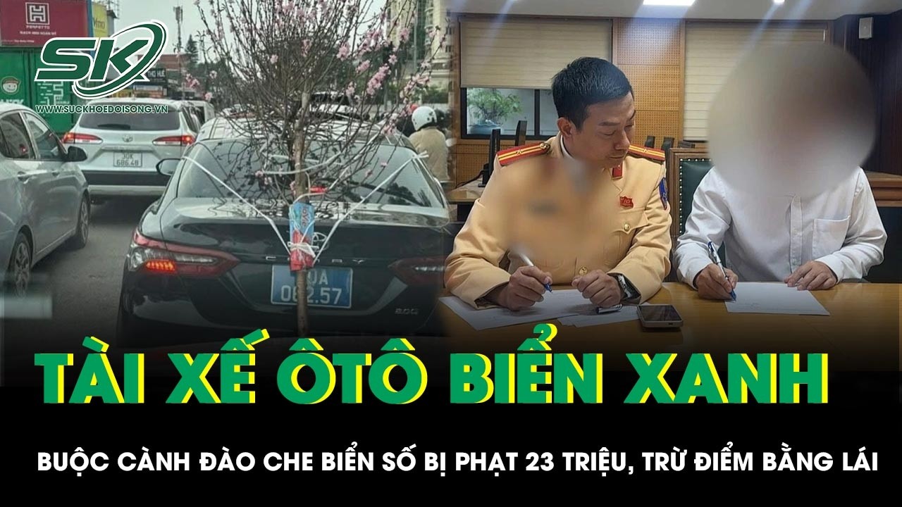 Tài xế ô tô biển xanh buộc cành đào che biển số bị phạt 23 triệu đồng, trừ điểm bằng lái