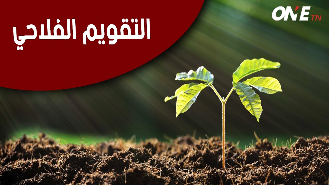 'التقويم الفلاحي'