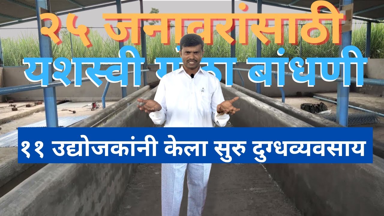 २५ जनावरांसाठी यशस्वी गोठा बांधणी !!! ११ उद्योजकांनी केला सुरु दुग्धव्यवसाय