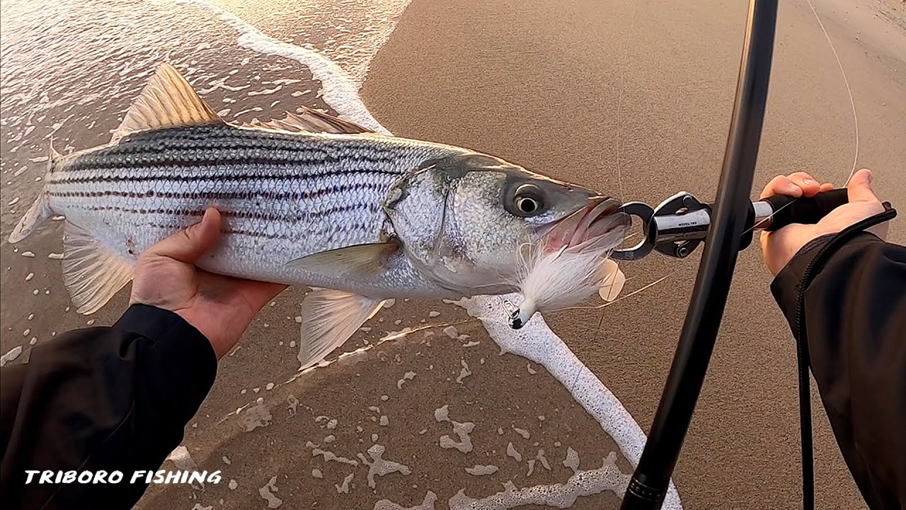 Surf Fishing with Bucktail & How I Use it | Fall Run Finally Picks Up!
