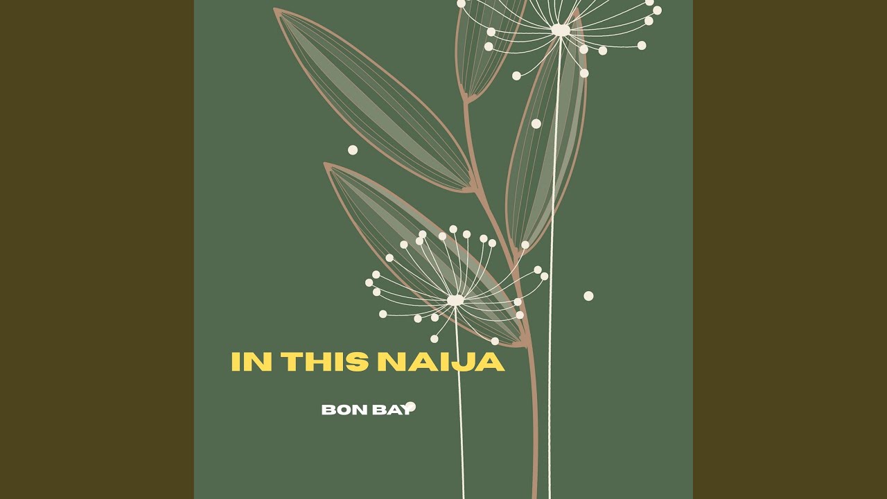 In This Naija