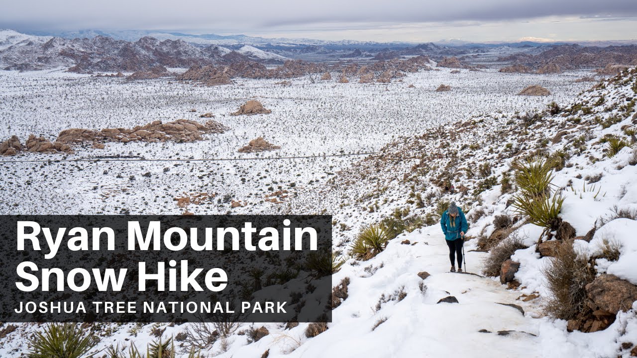 Ryan Mountain Snow Hike in Joshua Tree National Park