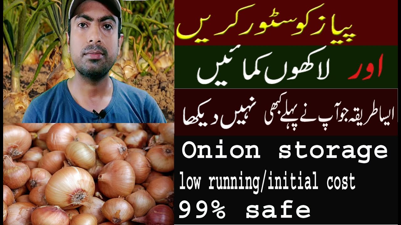 How to store Onion without storehouse in Urdu/hindi