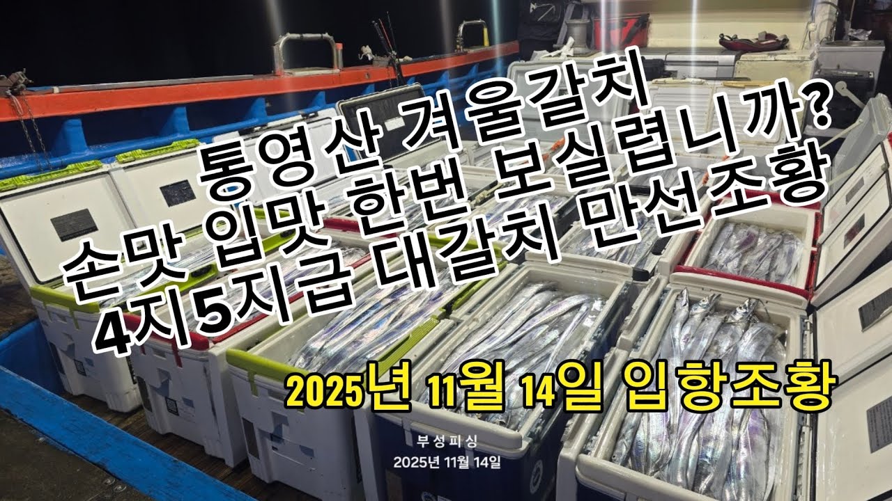4지급 갈치 줄을탑니다 통영산 겨울갈치 등장이요~~ 통영 부성피싱호