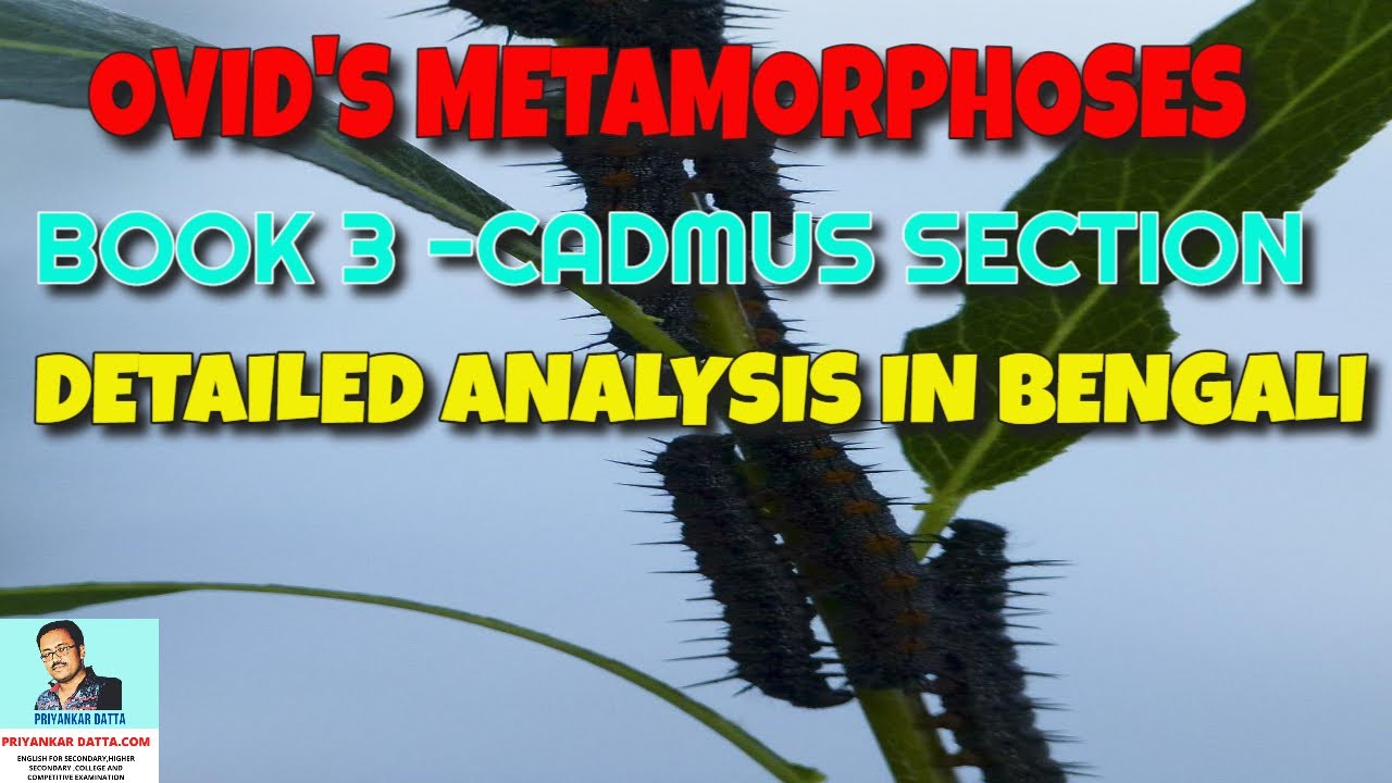 Metamorphoses Book 3 Cadmus'Finding summary in Bengali Bangla -  Metamorphoses by Ovid in Bengali