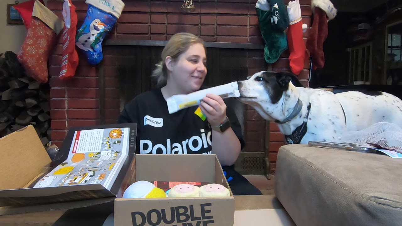 Vlog 569 l November Bark Box 2019