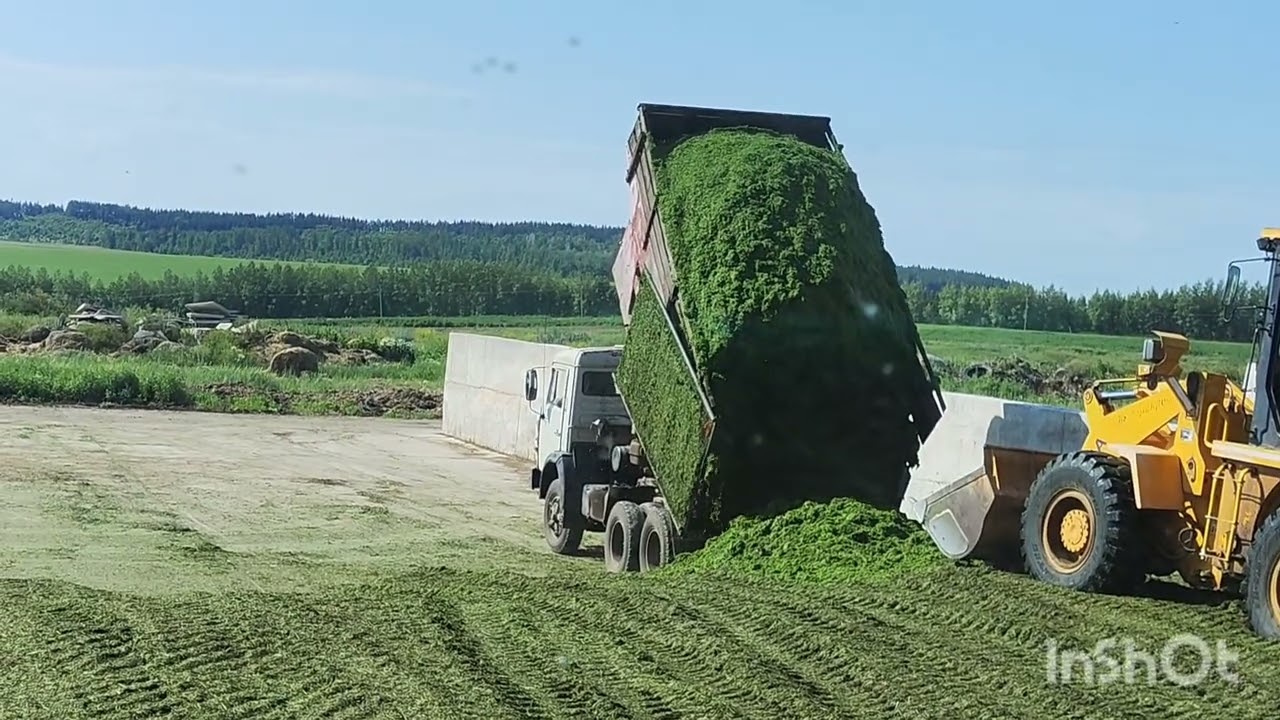 Уборка сенажа