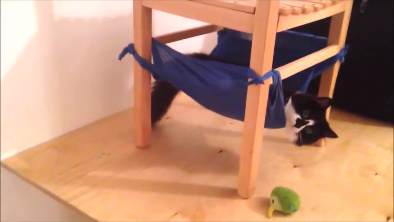 How to: DIY Cat Hammock