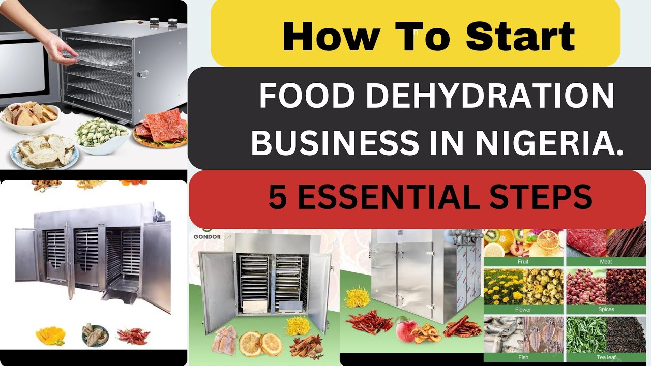 How to Start a Food Dehydration Business in Nigeria 