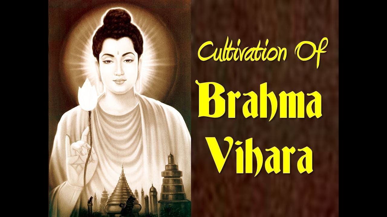 RETREAT DAY 8: CULTIVATION OF BRAHMA VIHARA