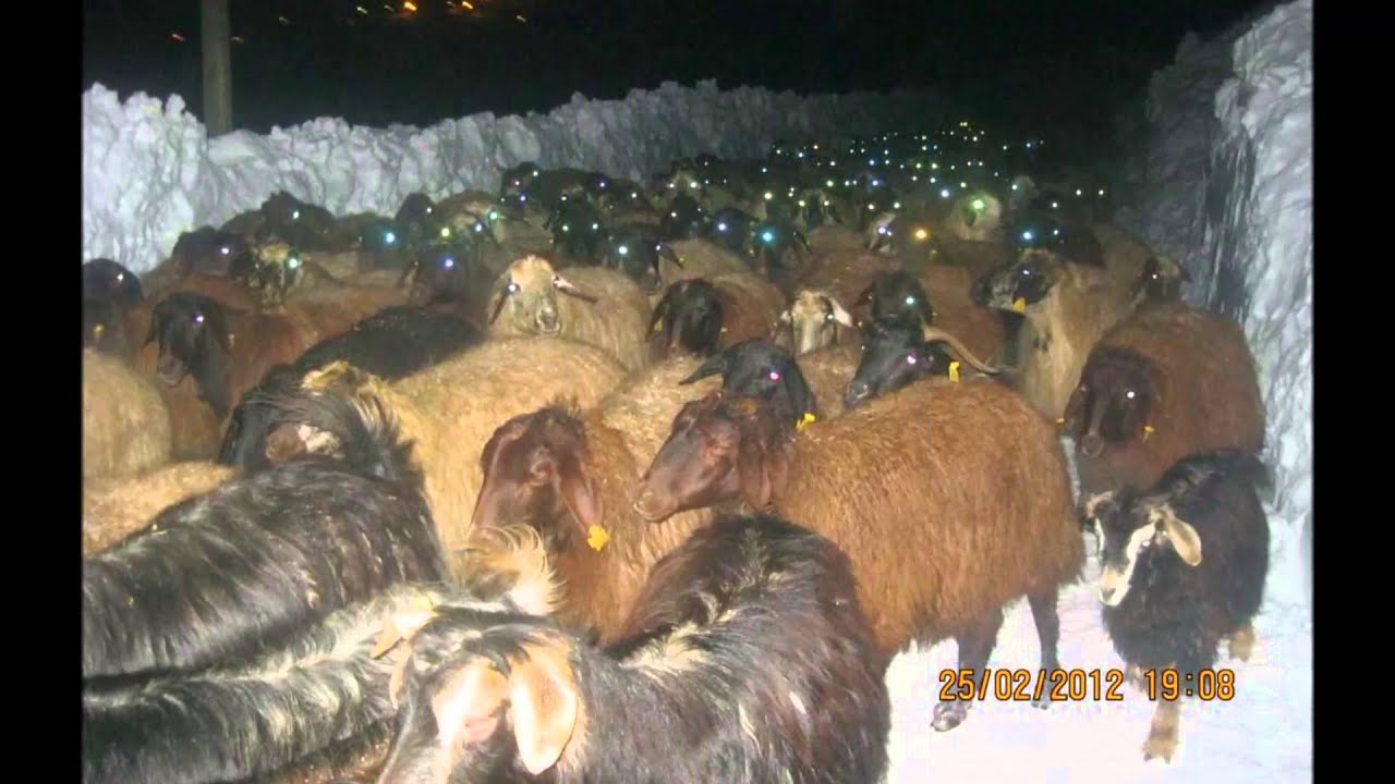 HAZARŞAH KÖYÜ
