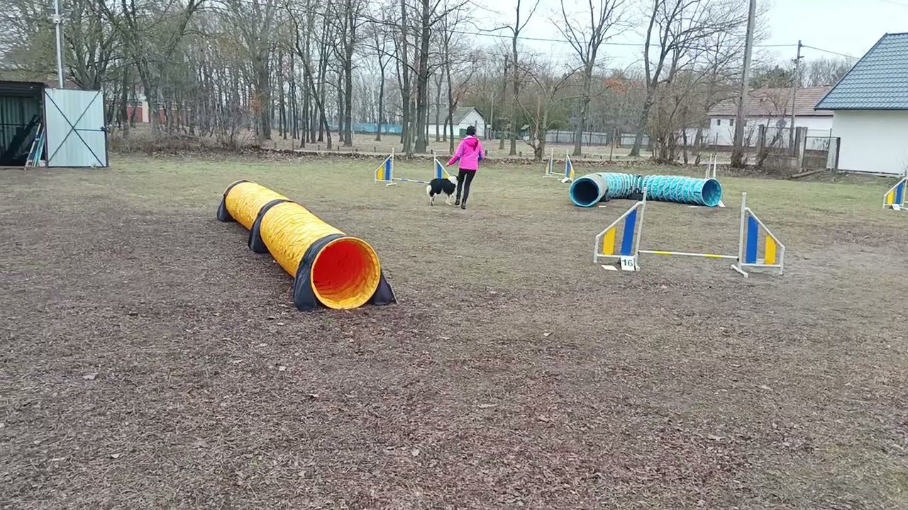 260215 Max 3