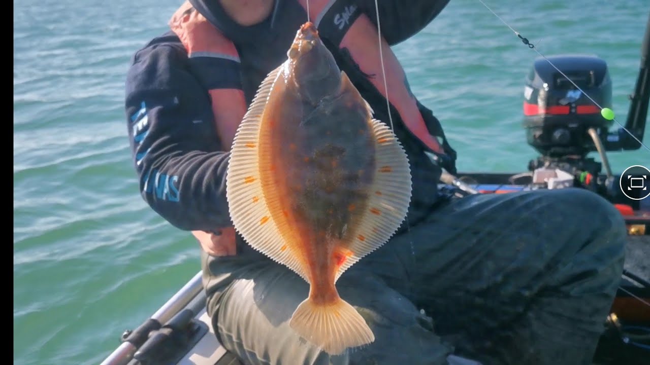 Plaice fishing from a sib - MUST WATCH - red letter day - sea fishing UK 2021