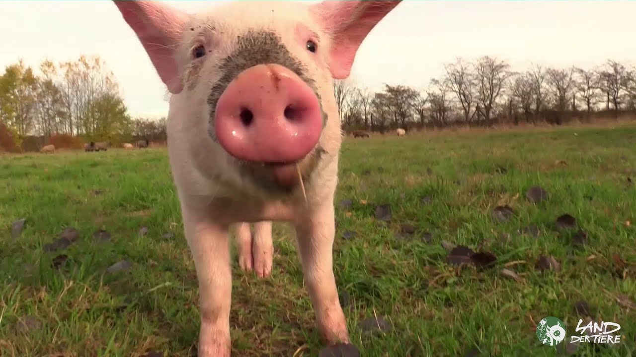 Best-of: Wie schön es ist, zu leben. Danke an alle Unterstützer*innen ❤