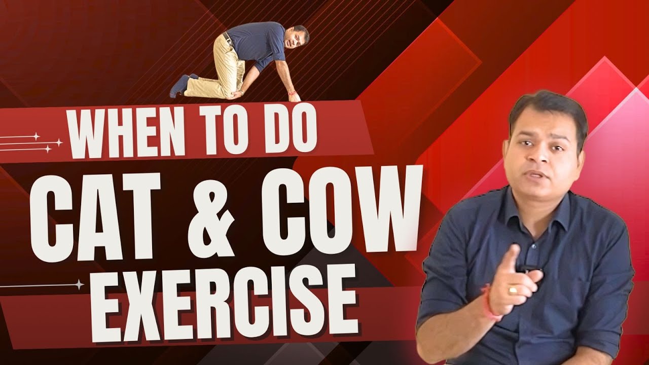 3 Best Exercises For Back Pain Relief, When to start Cat Cow Exercise, Lion Stretch for Lower Back