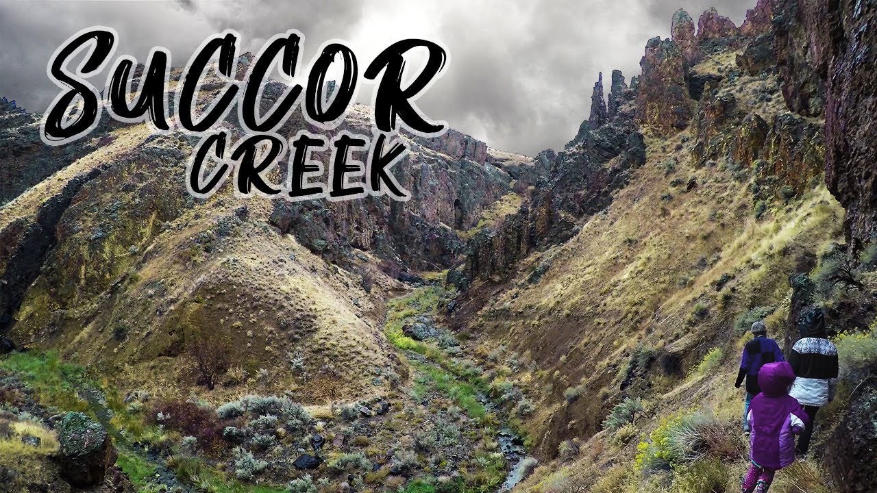 The Succor Creek Zeolite Mines