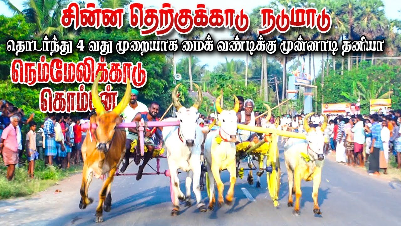 1பெரியமாடு-சின்ன தெற்க்குகாடு_பந்தயம்_26.03.2023#krish_studio#krish#krish_panthayam