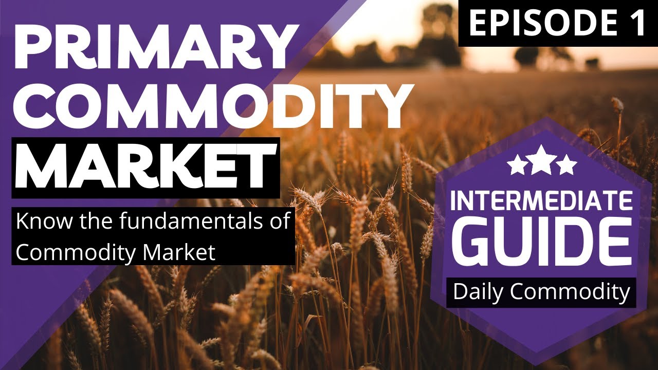 Commodity Trading & Primary Commodity Market | Episode 1 | Daily Commodity