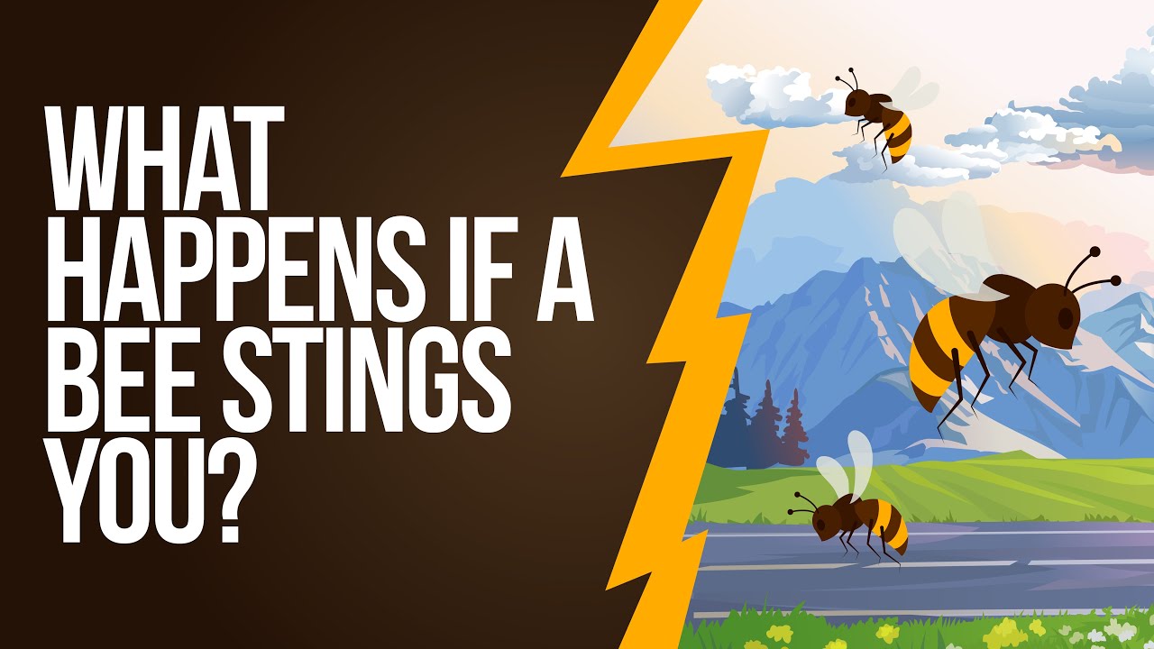 What Happens If A Bee Stings You?