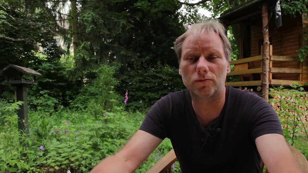 Naturgärten hautnah: Bei Holger Tempel in Mainz