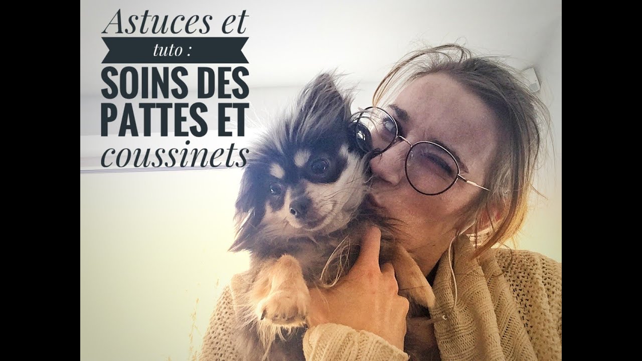 ASTUCES ET TUTOS : Soins pour les pattes et les coussinets de votre chien