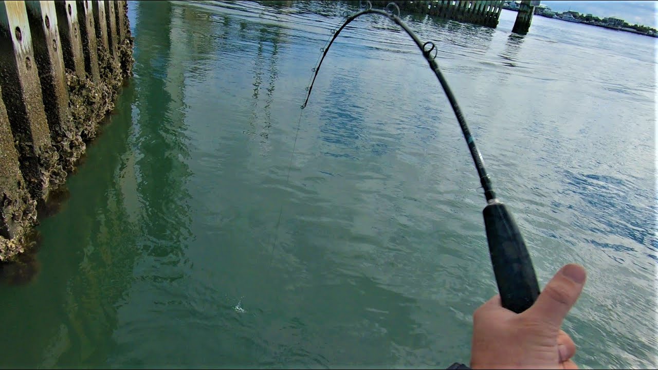 Too Pretty For Fishing? Morehead City Port