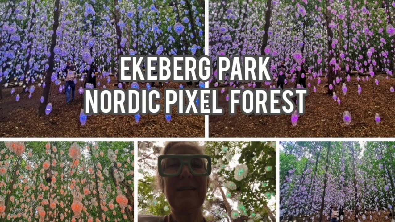 Nordic Pixel Forest #lichtinstallation #pipilottorist #ekebergpark #oslo