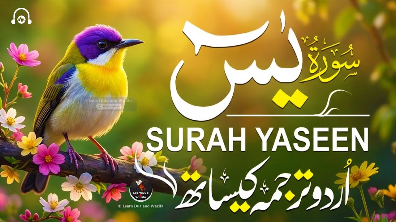 Surah Yaseen💖Surah Ar Rahman🕋| Best Qur'an Recitation | Surah Yasin full | Arabic text HD (640)