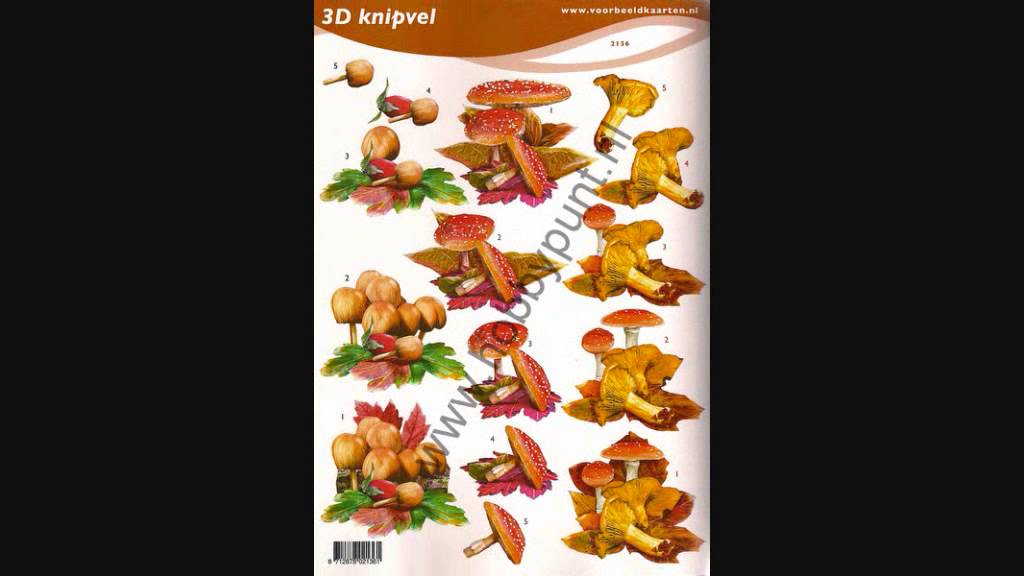 4 For You Herfst 3D Knipvellen - S4-3011 - F&F Cards - Voorbeeldkaarten - Het Hobbypunt