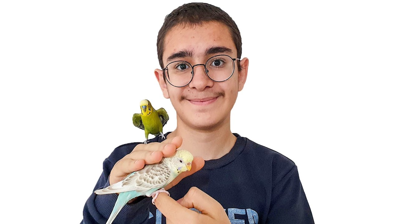 Buğranın Kuşu Boncuk Bize Alıştı