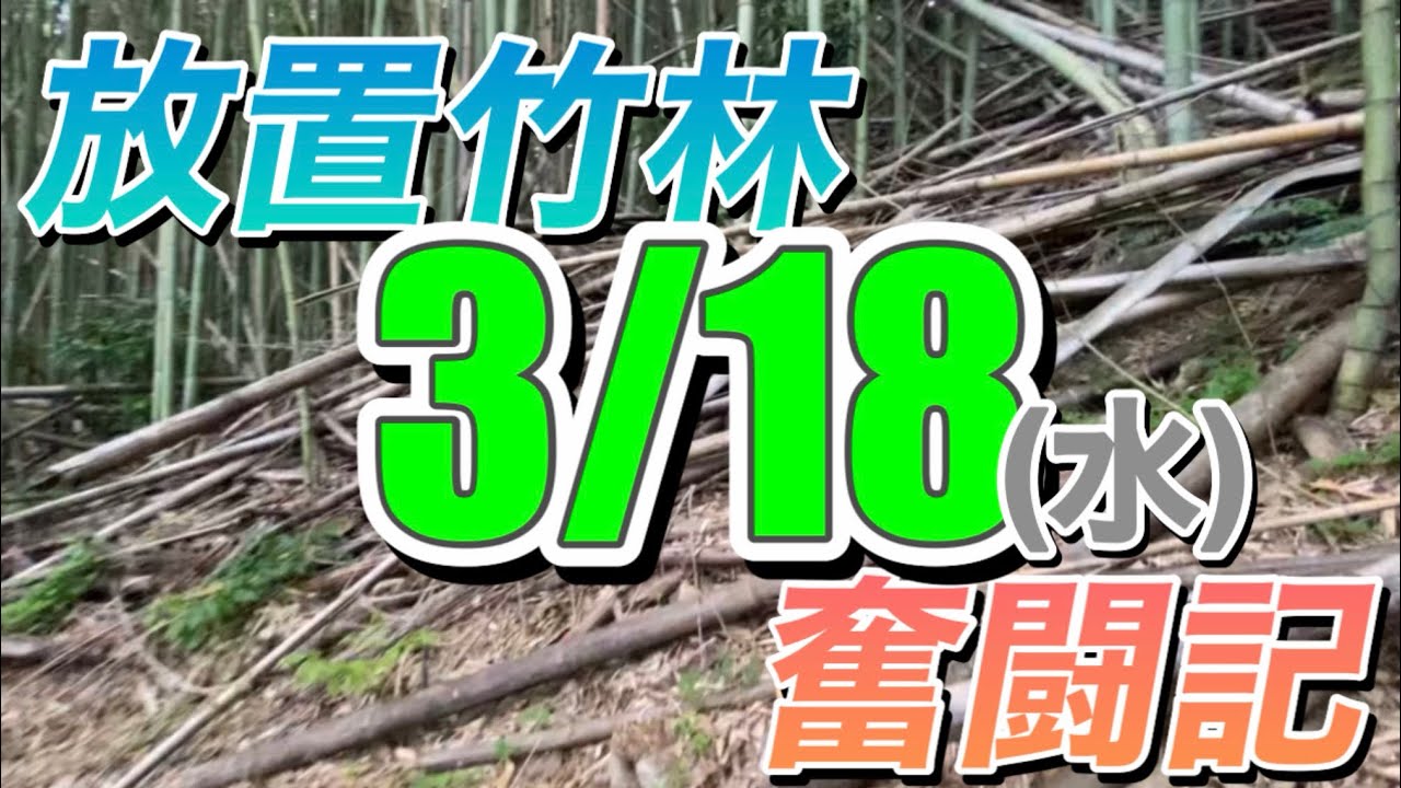 放置竹林奮闘記【早期退職者が竹を切る日々】2026/03/18