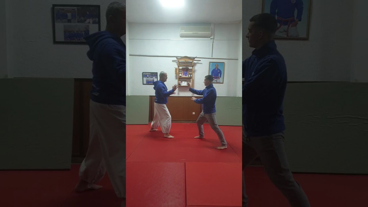 Application du Tenshin Jodan Uke👊