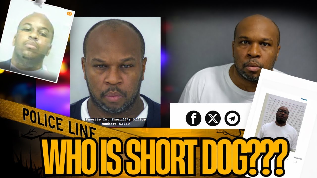 GUESS WHO’S BACK?! You Won’t Believe This…