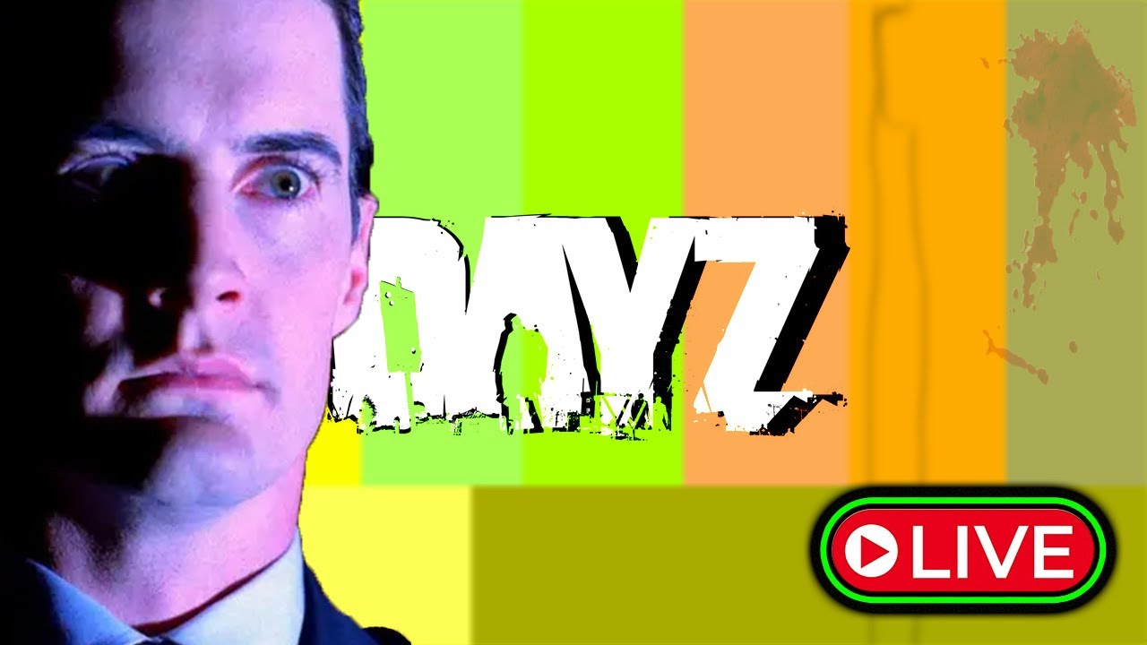 DayZ: I Have No Idea What's Going On