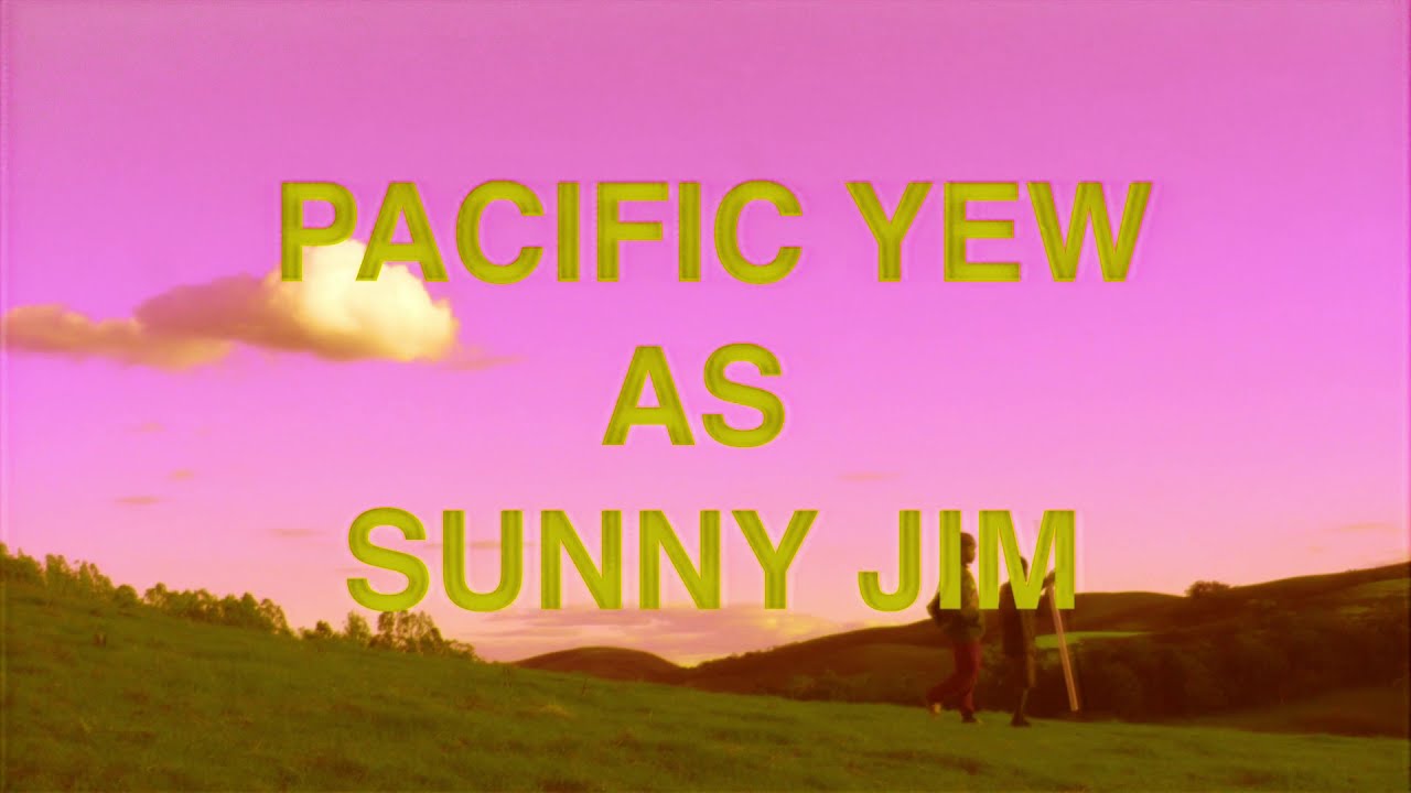 Squeeze Demo • Pacific Yew as Sunny Jim