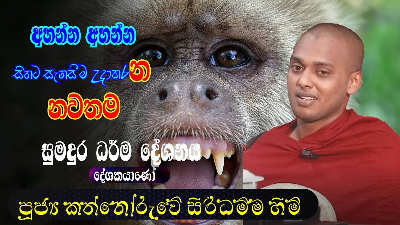දරාගත නොහැකි ගැටළු සඳහා පිළිතුරු / Kathnoruwe Siridhamma Himi | Bana