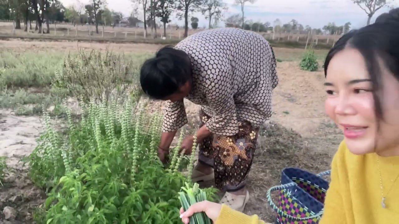 🥬อยู่คนเดียวกะใช้ชีวิตแบบนี้ละจ้า#ຊື້ຜັກກິນກະບໍເບິດພໍ່ໃດດອກຢູ່ຄົນດຽວ🥒