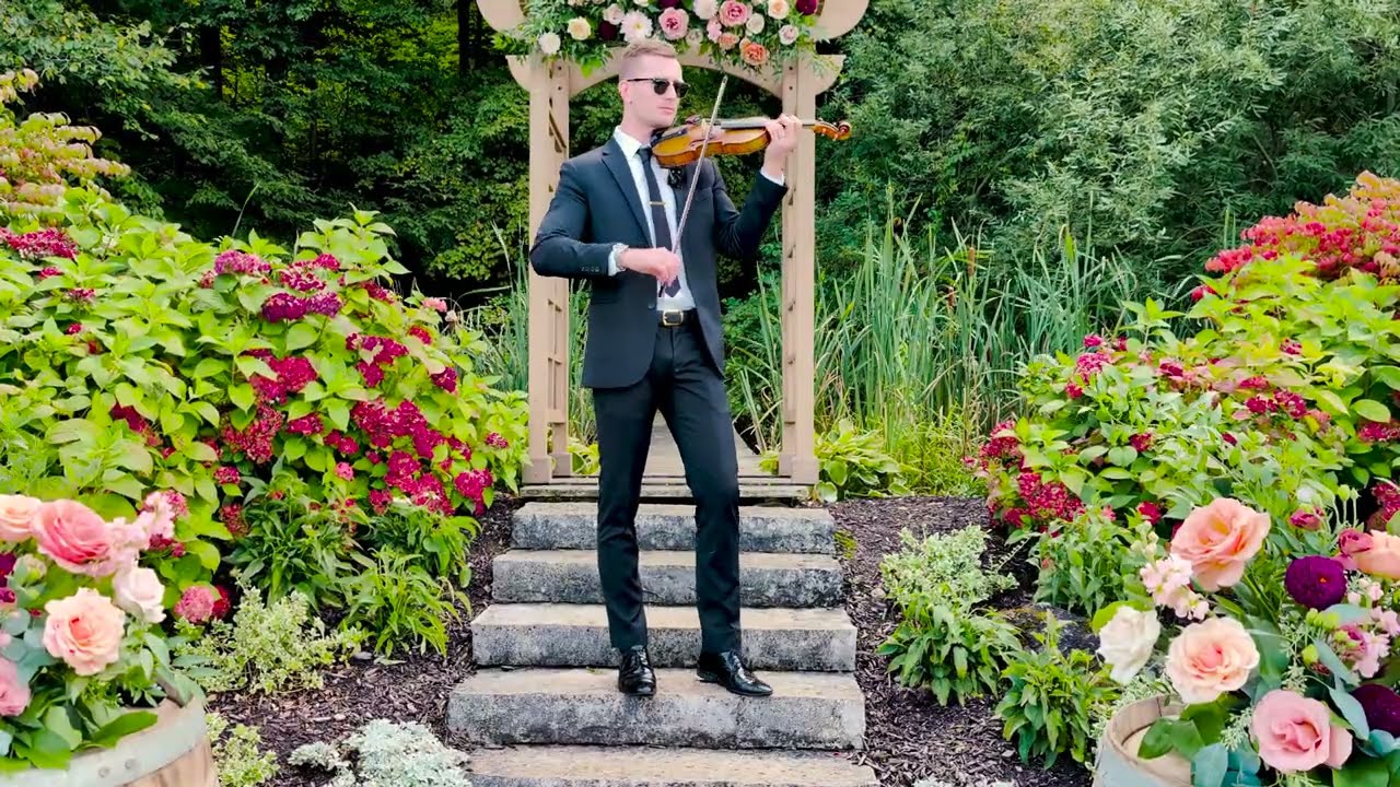 Taylor Swift - Wildest Dreams (Violin Cover)