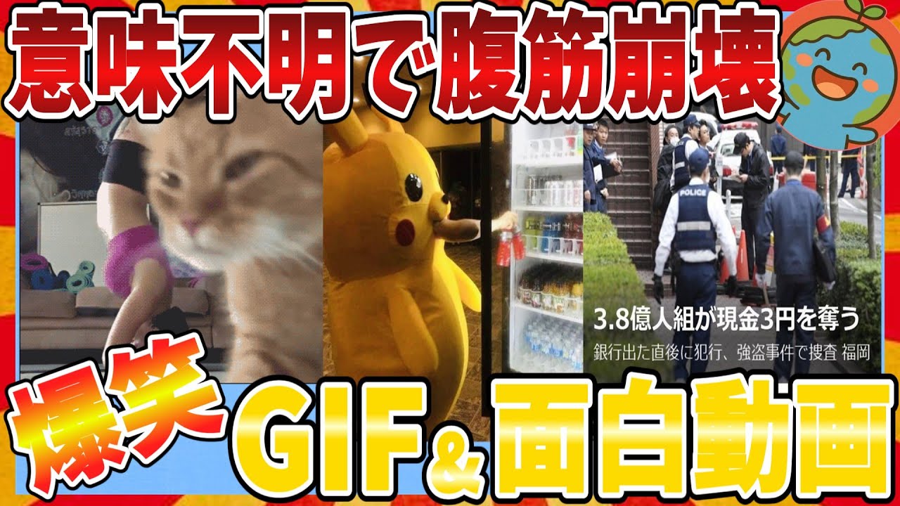 【🌏爆笑】意味不明すぎて腹筋崩壊してしまうおもしろGIF＆画像＆動画大全集ｗｗｗ【2ch】【ガルちゃんまとめ】