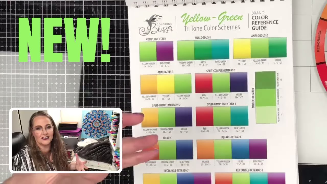 Exciting New Bliss Color Picking System for Colorists (LIVE)