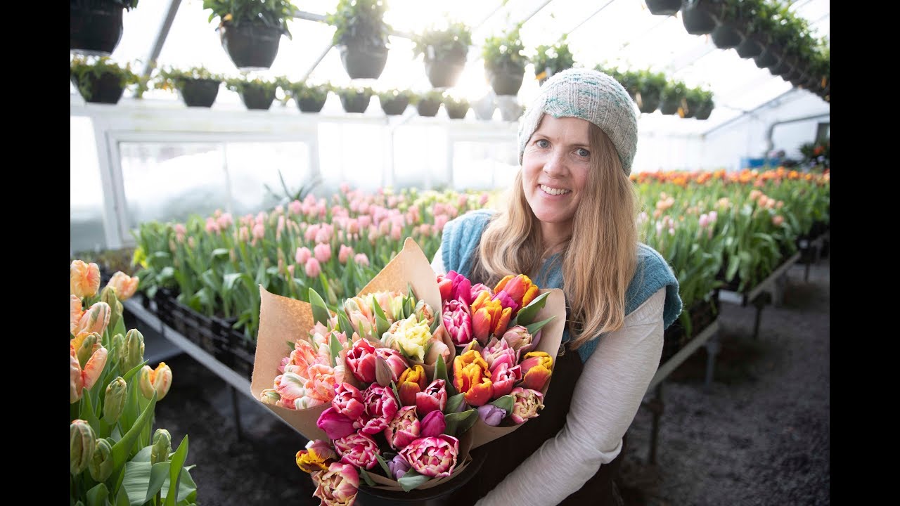von Trapp Flowers [567]