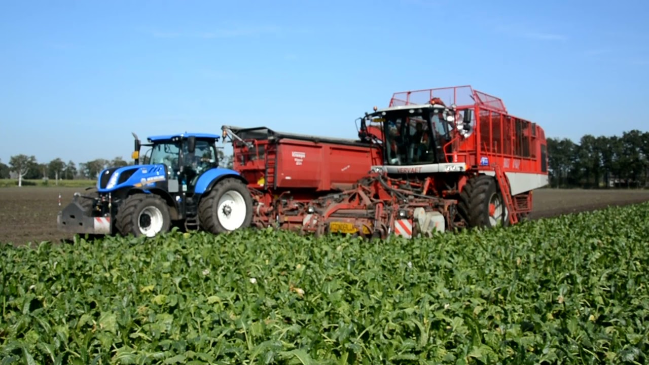 Vervaet 925 9 rijige Beet Eater bietenrooier