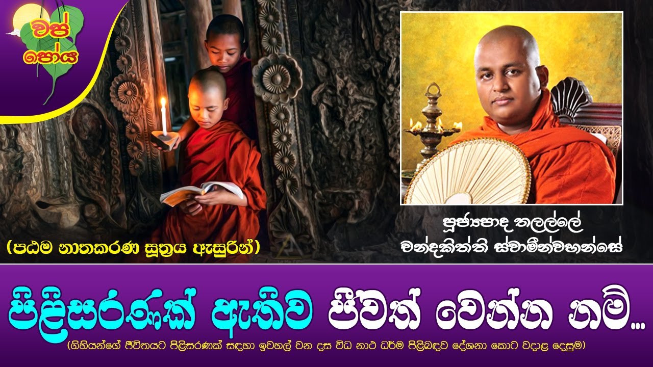 Ven Thalalle Chandakitthi Thero 2023-10-28 | 09PM (පිළිසරණක් ඇතිව ජීවත් වෙන්න නම්)පඨම නාතකරණ සූත්‍රය